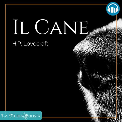 IL CANE • H P Lovecraft ☎ Audioracconto ☎ Storie per Notti Insonni ☎