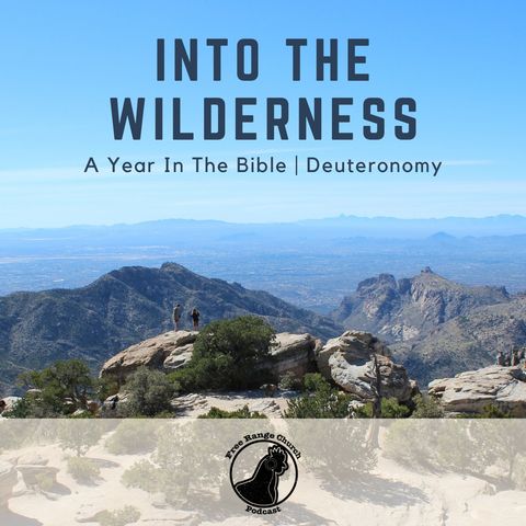 Into The Wilderness | Jesus, Don't Take The Wheel... - Deuteronomy 7