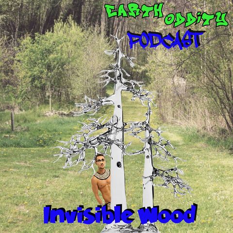 Earth Oddity 156: Invisible Wood