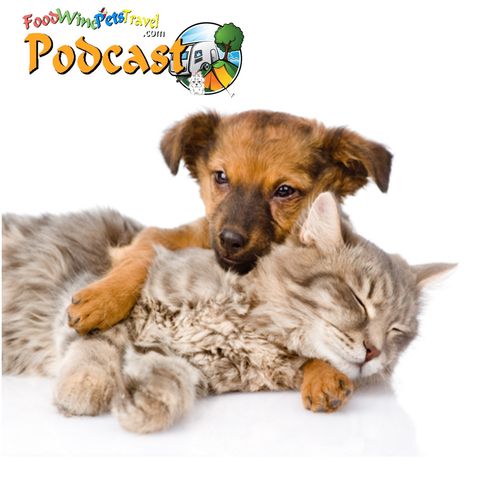 Is 'Natural Pet Care' OK For Pets? - Dr Barbara Fougere