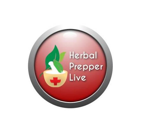 Medicinal Honey and St. John’s Wort with Herbal Prepper on PBN
