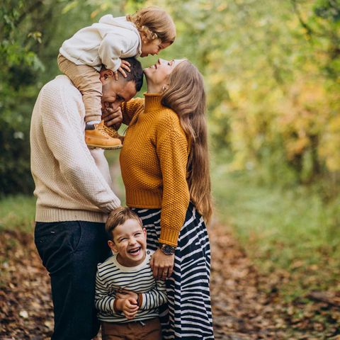 L'Arnica Montana_ Proprietà e Usi Omeopatici