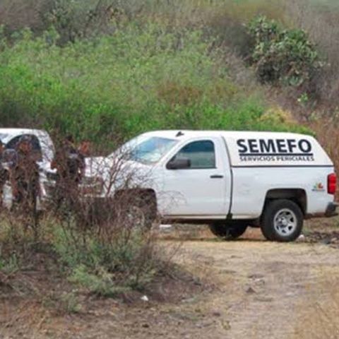 Encuentran 11 cuerpos en una fosa en Uruapan