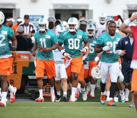 Dolphin Talk Daily:We talk about what to expect out of the May OTA's. What is the status of Ryan Tannehill's knee