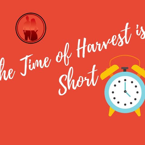 The Time of Harvest is Short with Davida Smith