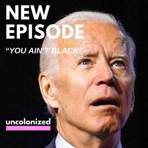 S04E31 – Joe 'You ain't black' Biden