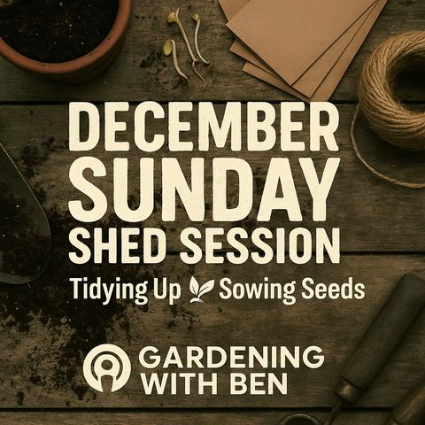 🎧 December Sunday Shed Session: Tidying Up and Sowing Seeds