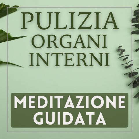 MEDITAZIONE GUIDATA - Pulizia degli ORGANI Interni