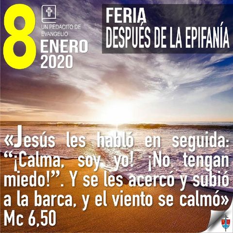 Homilía 8 Enero 2020 - La vida cristiana no es sólo esfuerzo de la voluntad