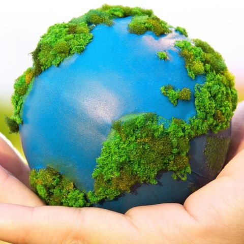 World Sustainability
