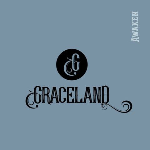 Graceland Live at Porchfest 2019