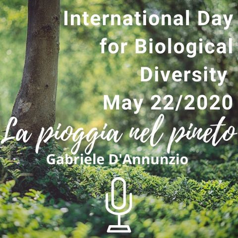 International Day for Biological Diversity - May 22/ 2020: Reading "La pioggia nel pineto" (G. D'Annunzio, 1902).