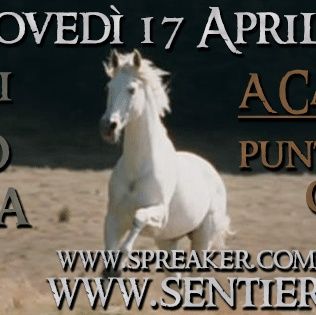 QDRB S3E13 - A Cavallo dei Sogni