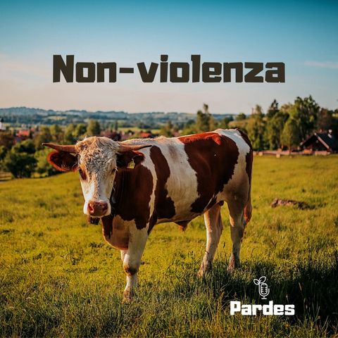 nonviolenza 🌳 PARDES 🎙 084p