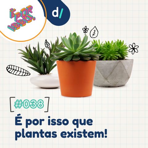 É Por Isso! #38 - É por isso que plantas existem! 🌿