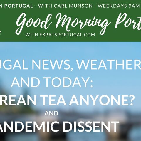 Azorean tea, weekend walnuts & Covid unrest on Good Morning Portugal