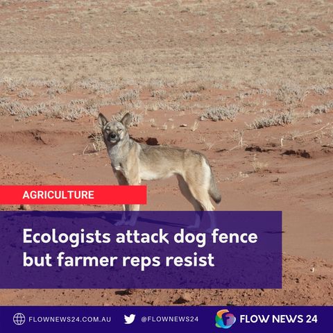 Should Australia abandon the dog fence and reintroduce wild dogs & dingoes? Some ecologists think so