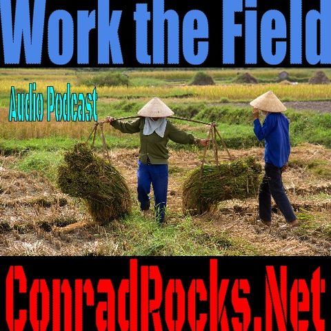 Work the Field