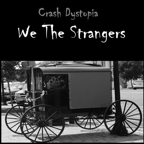 Crash Dystopia We The Strangers