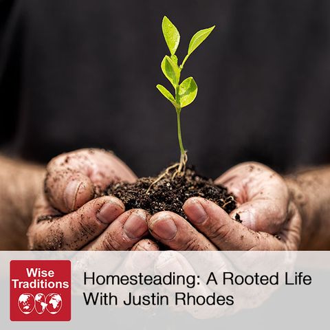 346: Homesteading: A Rooted Life