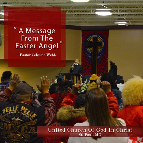 A Message From The Easter Angel