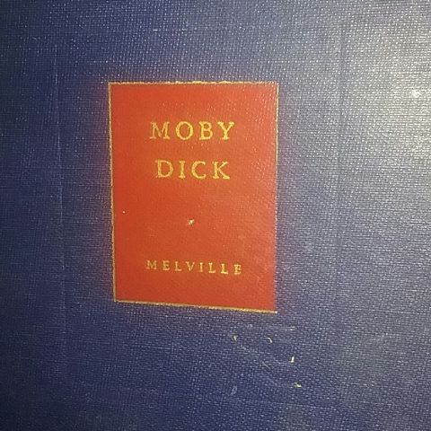 Introduction to Moby Dick.