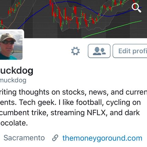 #266: Stocks Rally Again and MI Recount!