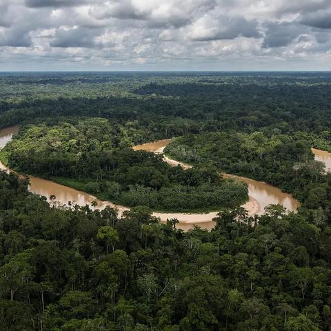 Amazzonia l’amnistia dei proprietari ha ostacolato il ripristino delle terre private