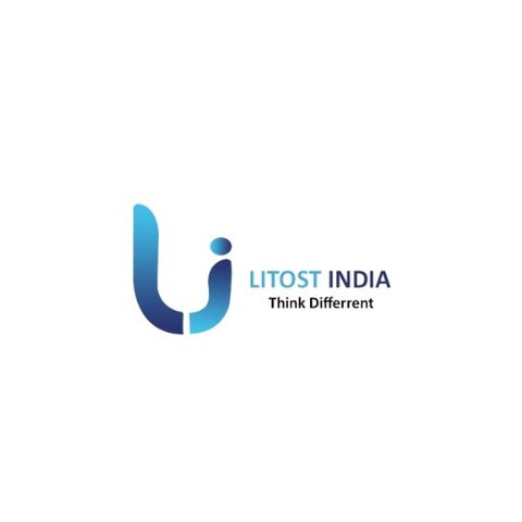 The Art of Recruitment, Finding Exceptional C Programmers with Litost India