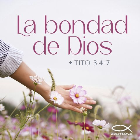 Oración 4 de octubre (La bondad de Dios)