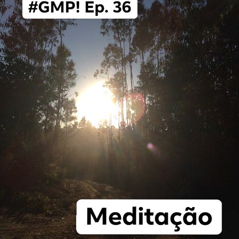 Meditação - The ‘Good Morning Portugal!’ Podcast - Episode 37