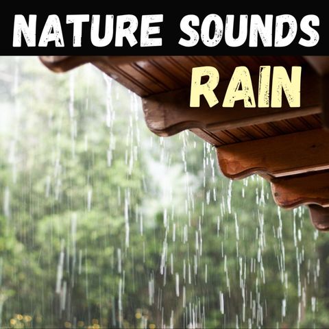 Hard Rain - No Thunder - 10 Hours for Sleep, Meditation, & Relaxation