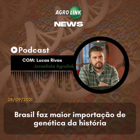 Podcast: Paraná projeta mais de 25 mi de toneladas de grãos