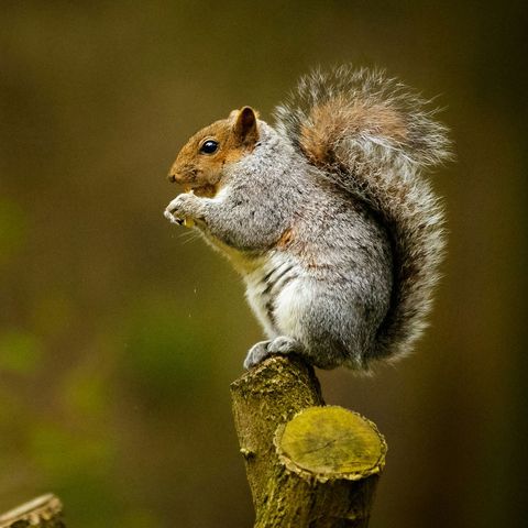 Il giusto equilibrio
