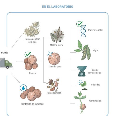 Recomendaciones