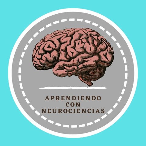 Aprendiendo con Neurociencia