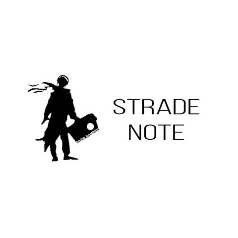 Strad&Note del 26/5/2016 con Elton Novara