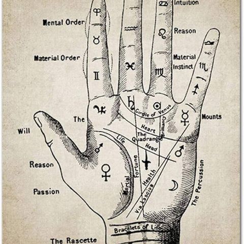 La misteriosa  storia della lettura del palmo della mano
