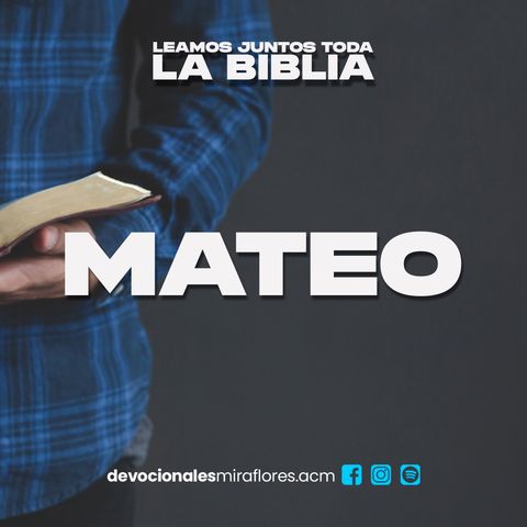 Mateo 19