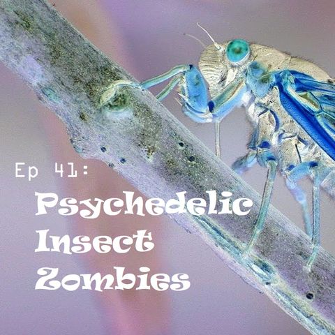 Ep 41 - Psychedelic Insect Zombies
