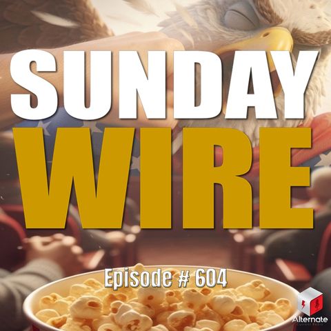 SUNDAY WIRE EP 604 – Retaliation Doctrine