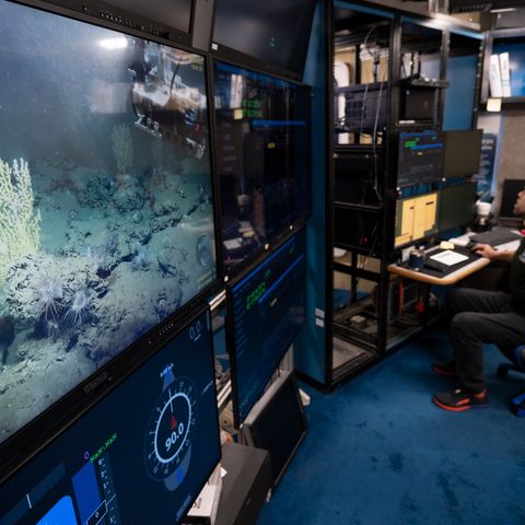 Dr Monty Graham - USF Deep Sea ROV
