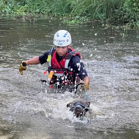 Rookie College Station firefighter performs a water rescue of a stranded dog