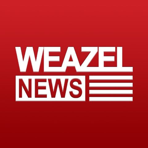 Weazel News 5