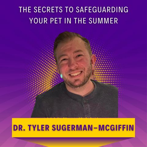 The Secrets to Safeguarding Your Pet in the Summer