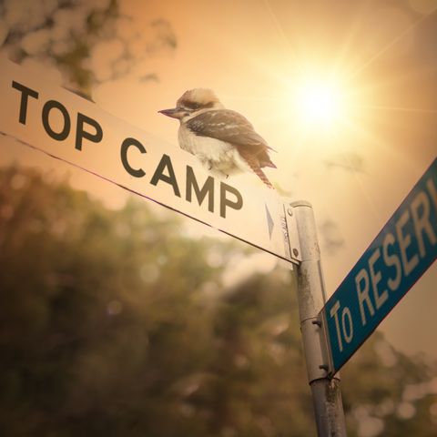 Top Camp