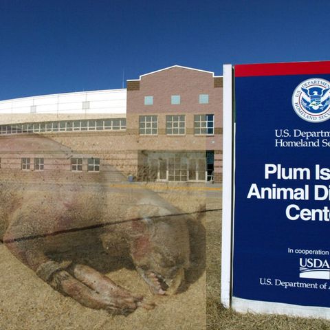 Plum Island: Animal Disease Center