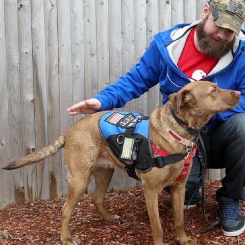 WBZ Cares: Service Dogs For Veterans