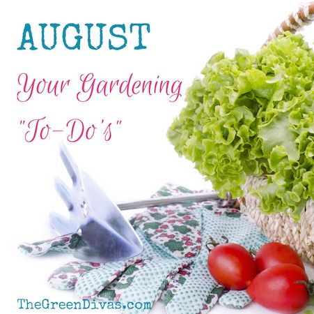 Gardening "To-Do" List for August