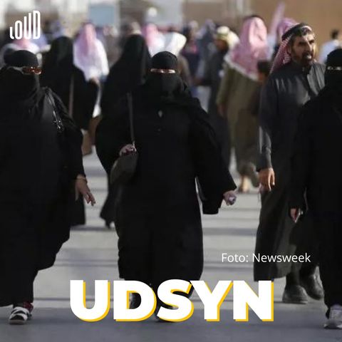 "Ingen rettigheder kommer uden kamp - heller ikke kvindernes i Saudiarabien"